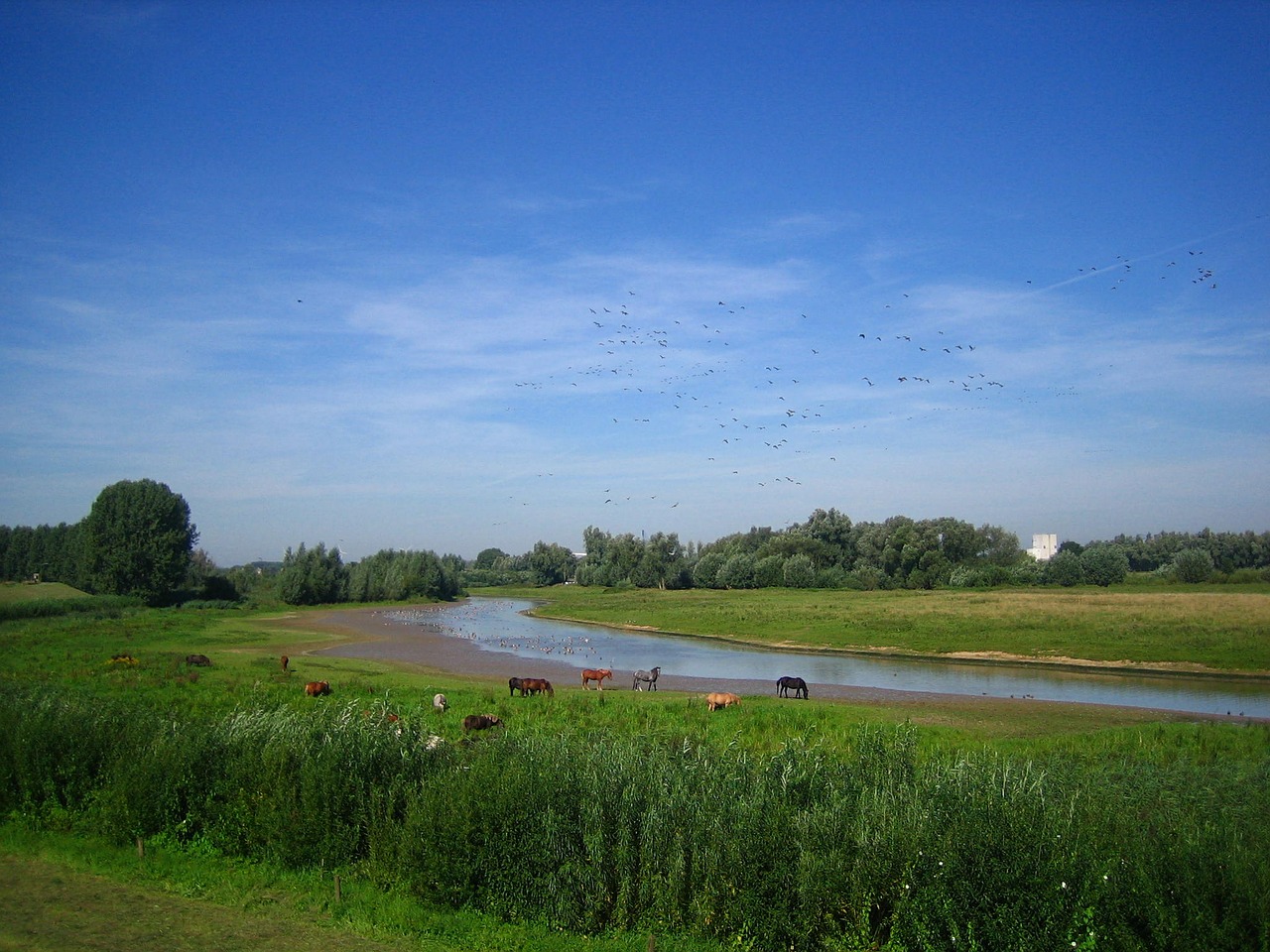 holland river landscape idyll free photo