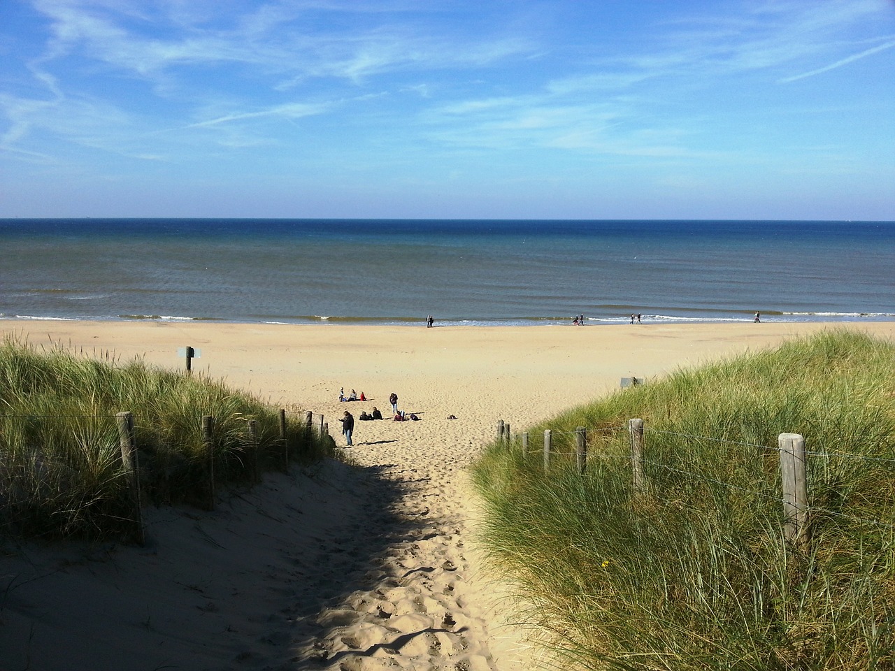 holland beach coast free photo