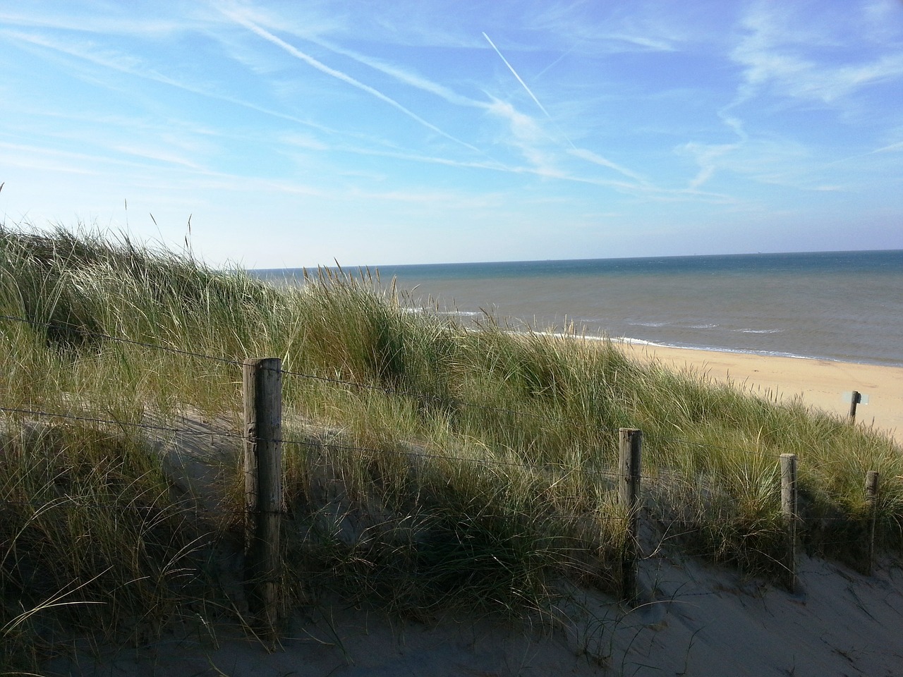 holland beach coast free photo