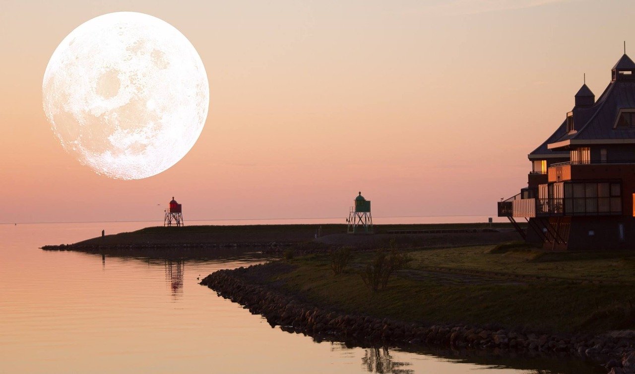 holland coast netherlands free photo