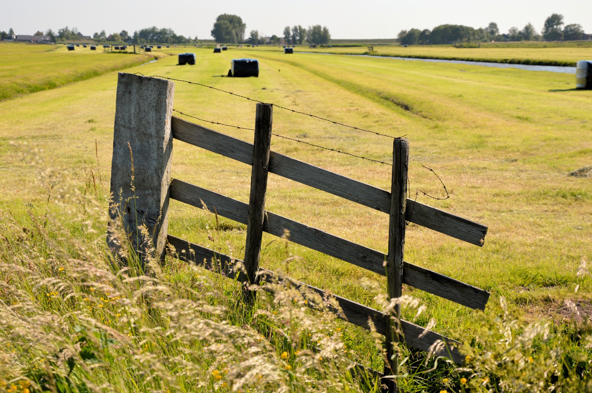 landscape nature holland free photo