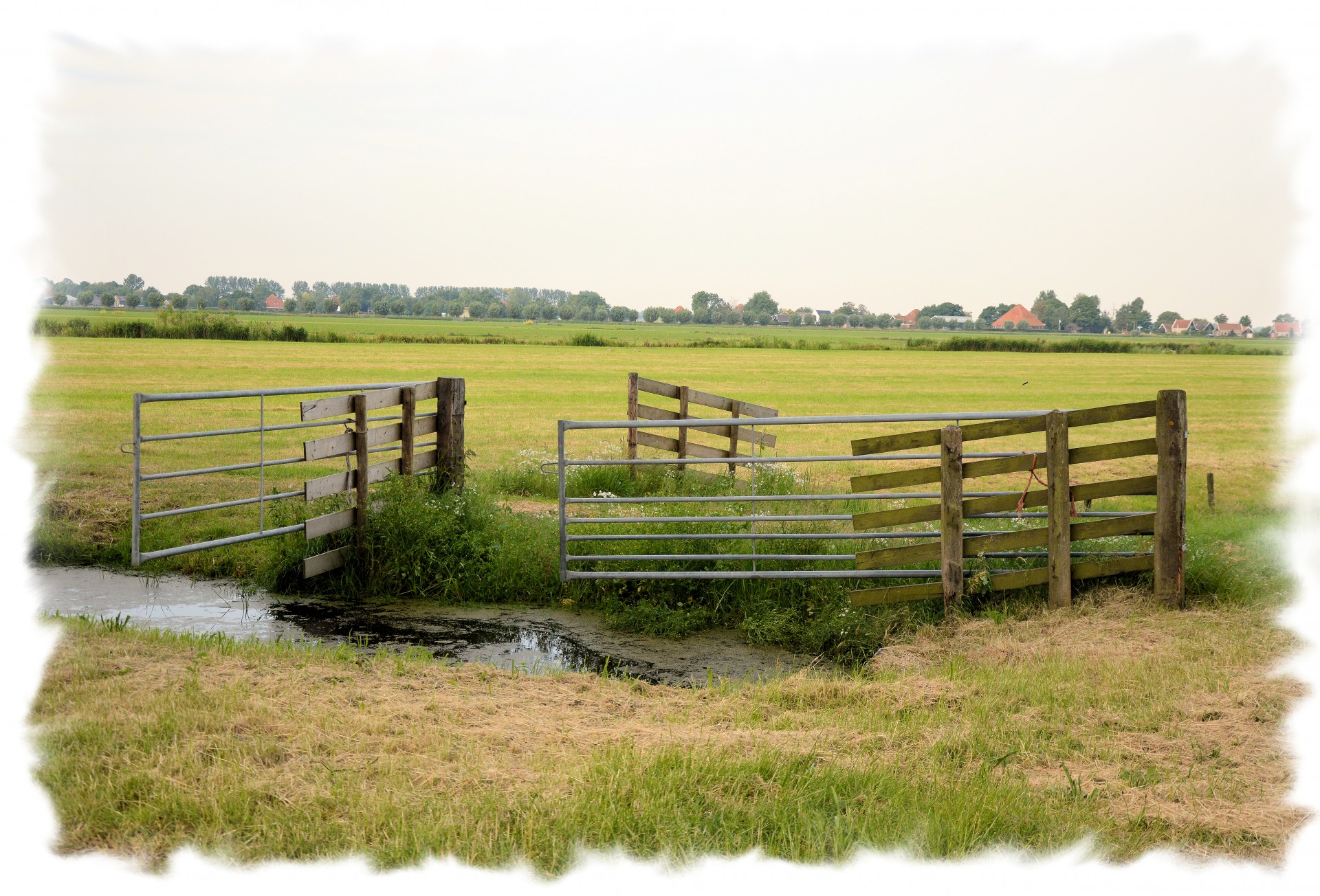 landscape nature holland free photo