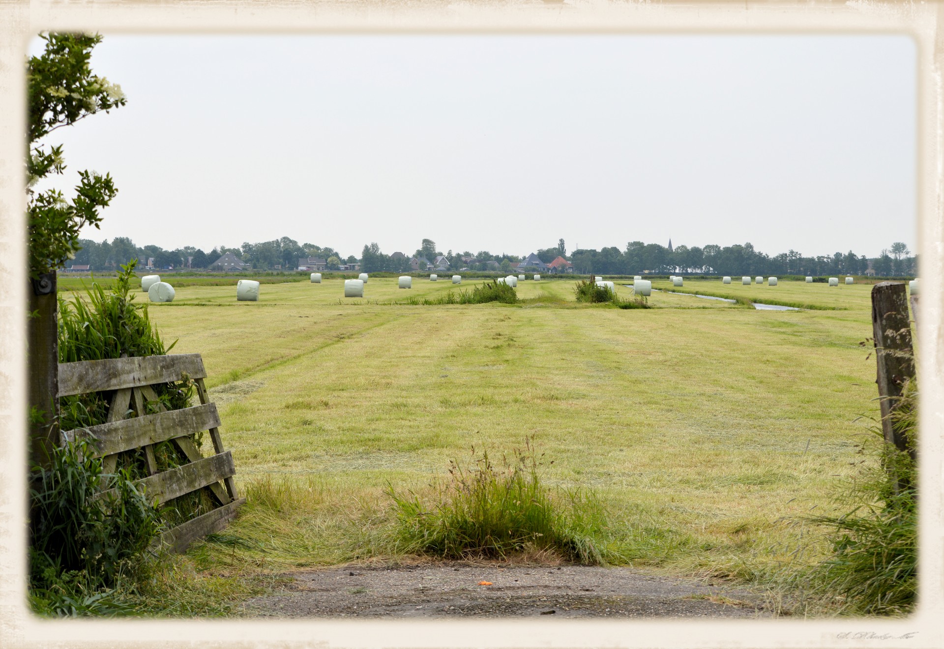 landscape nature holland free photo