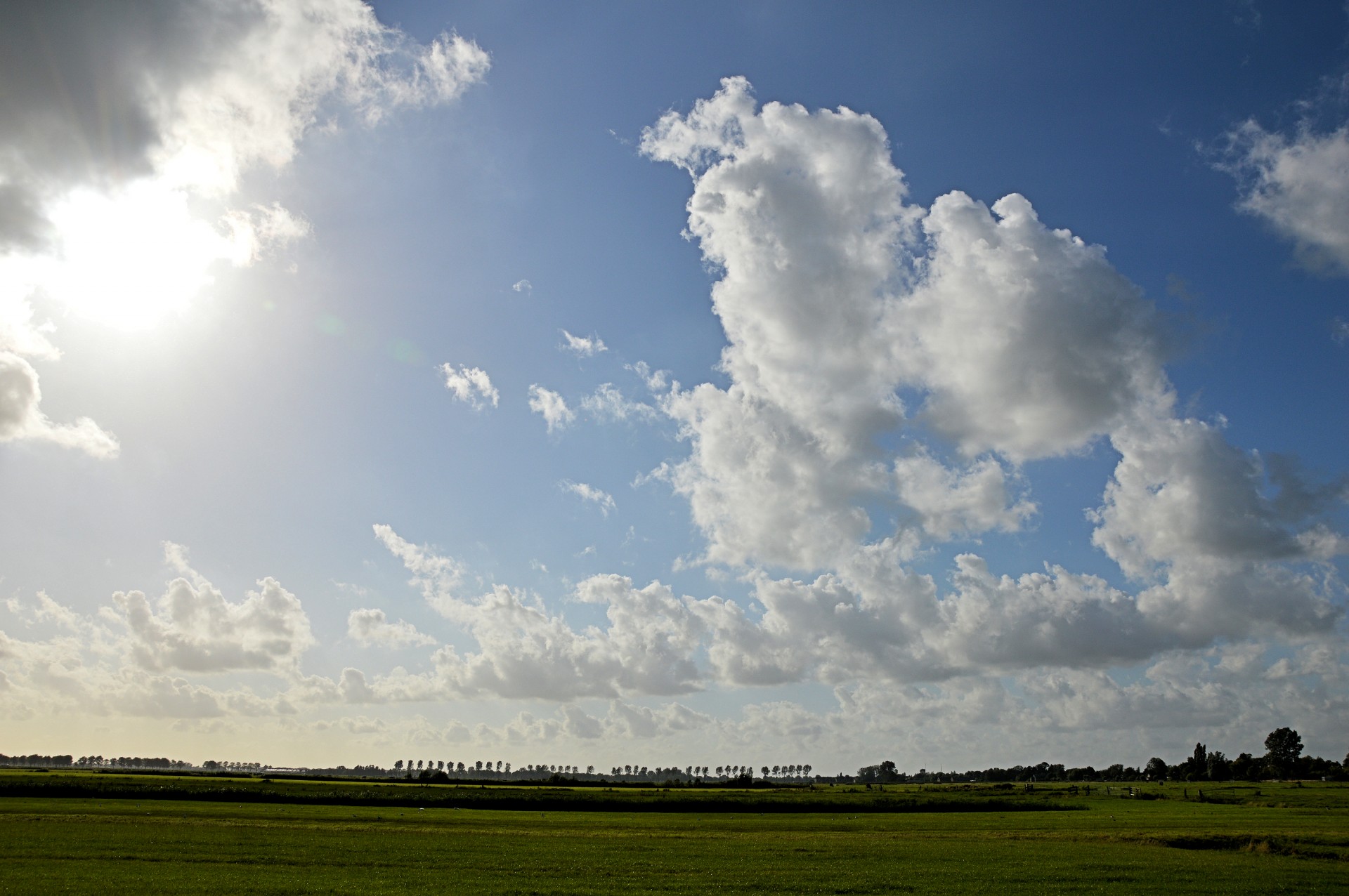 landscape nature holland free photo