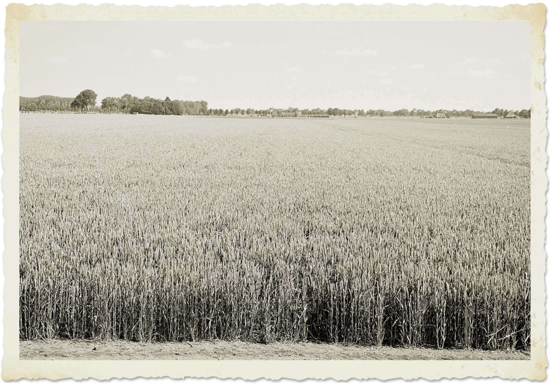 landscape countryside panorama free photo