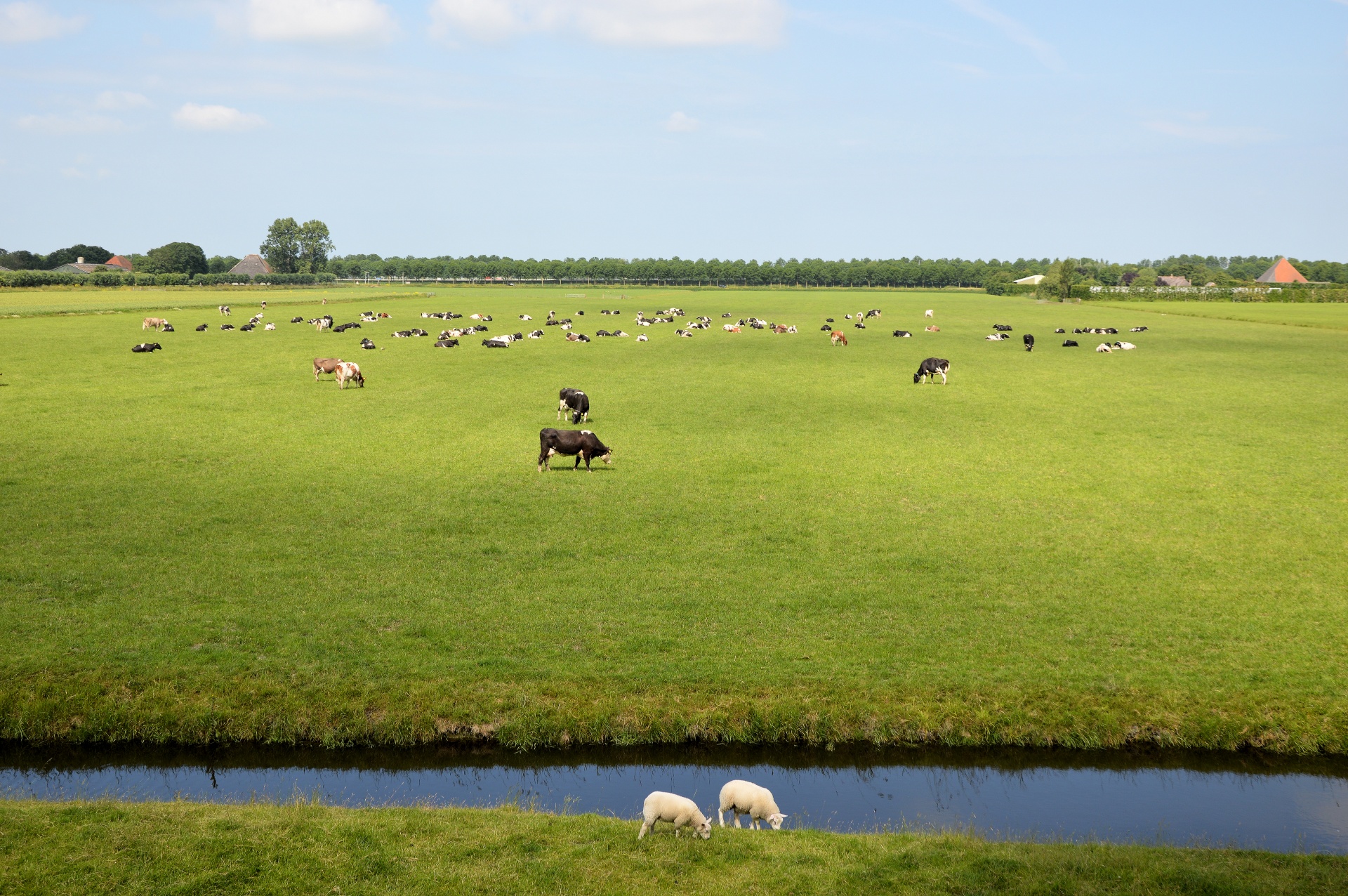 landscape countryside panorama free photo