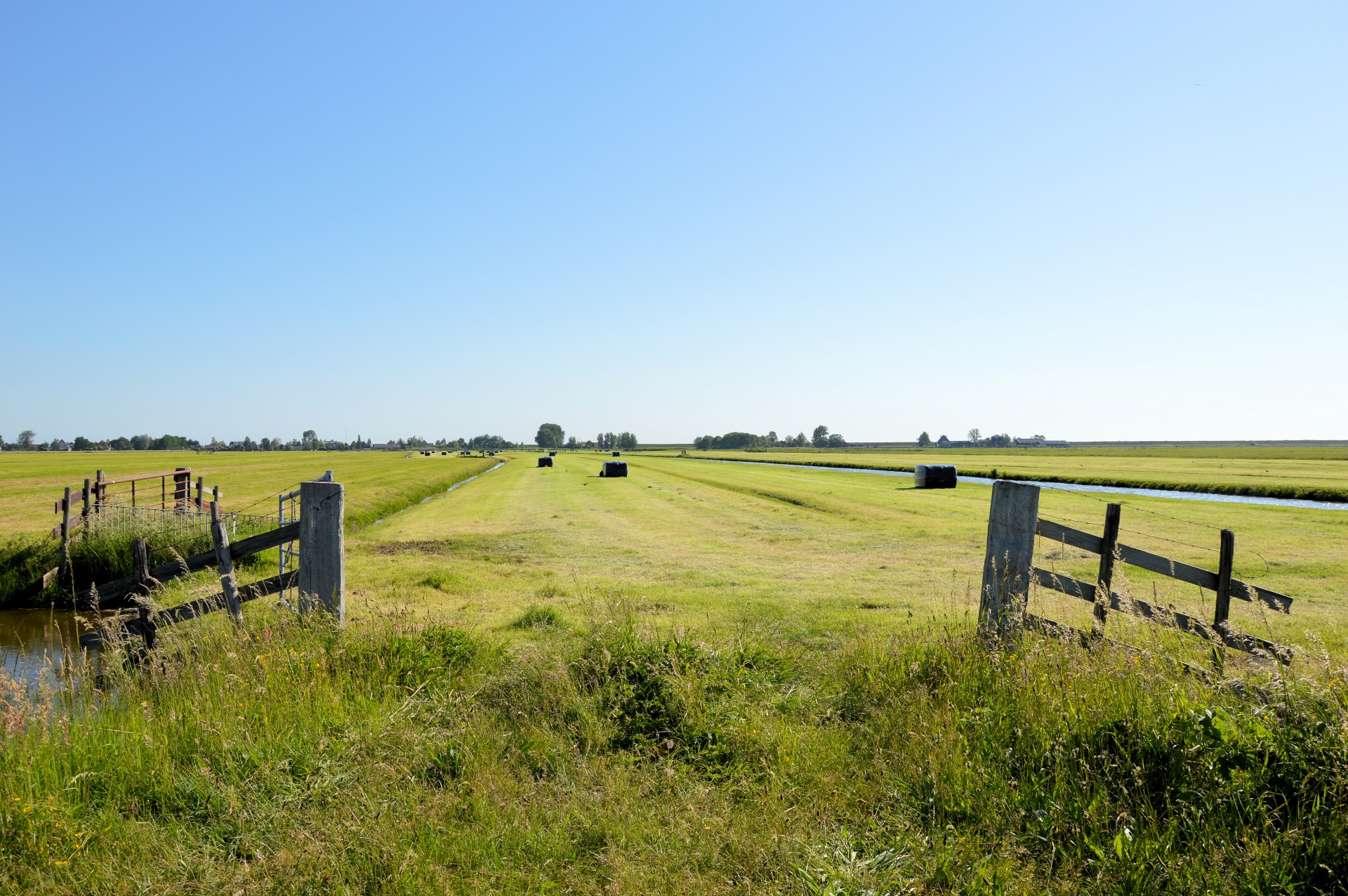 landscape nature holland free photo