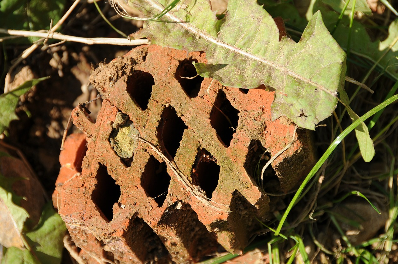 hollow tile building rubble holes free photo