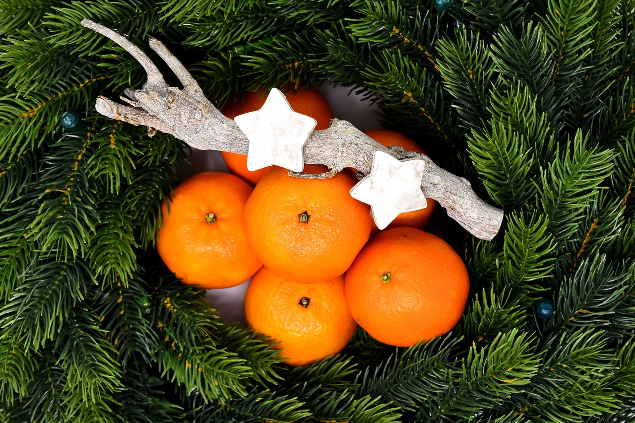 holly tangerines christmas free photo