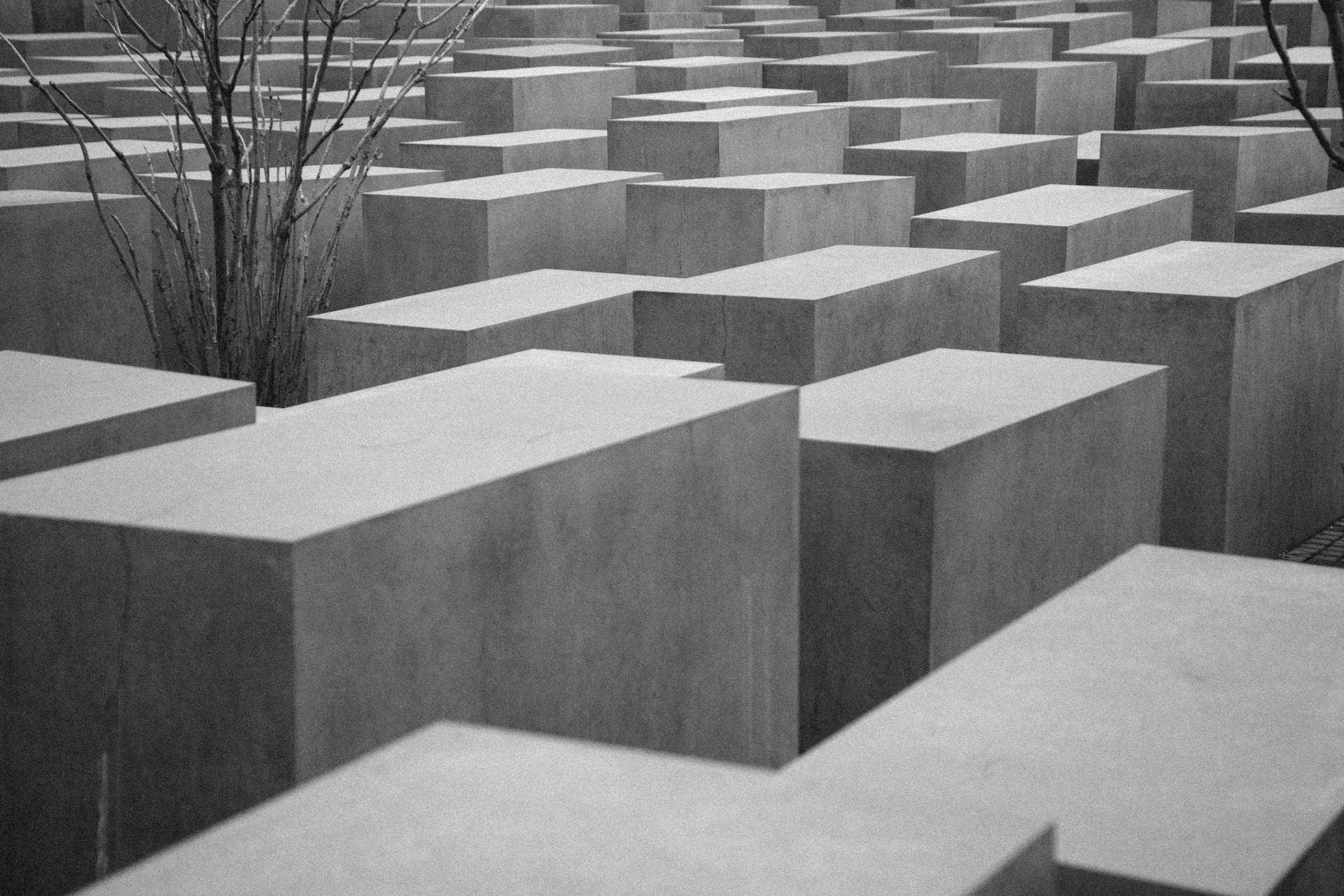 concrete blocks holocaust memorial free photo