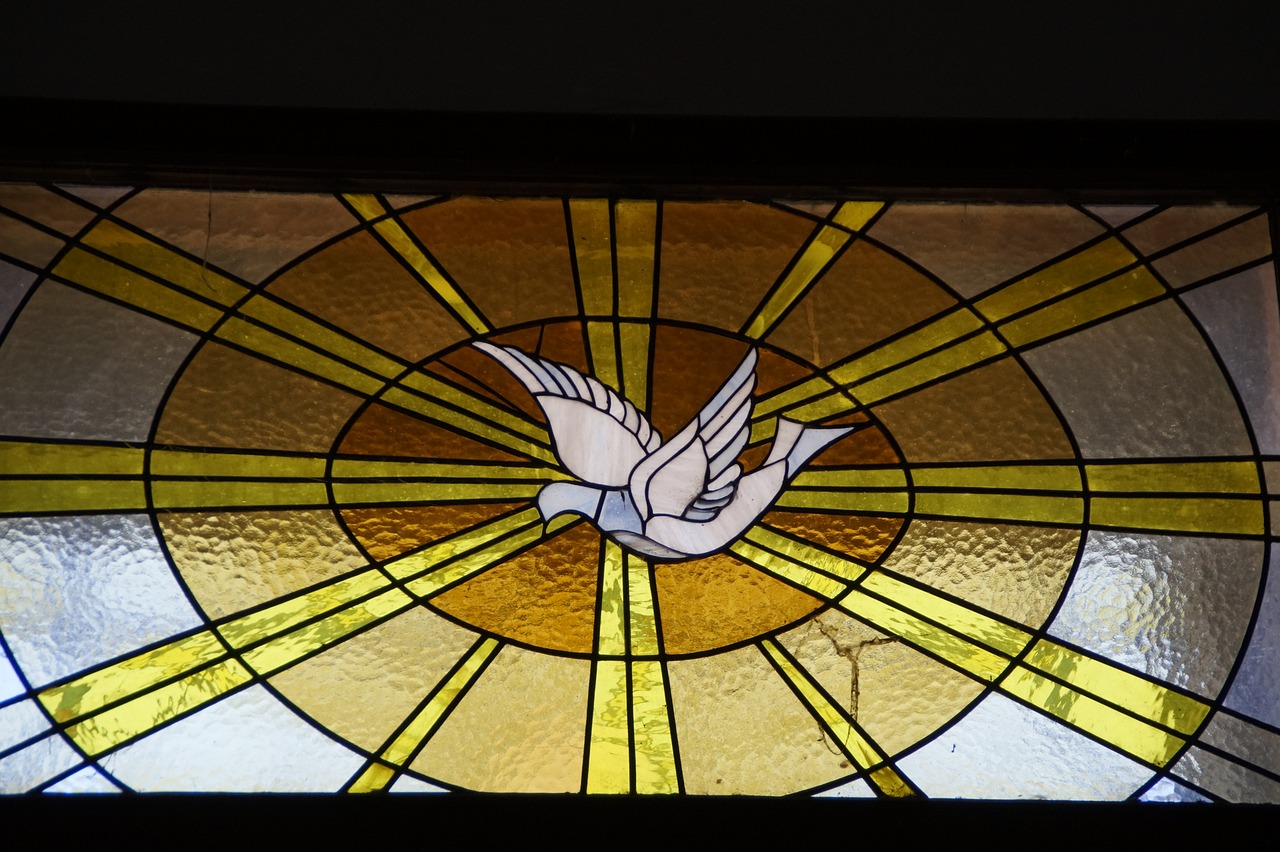holy spirit dove window free photo