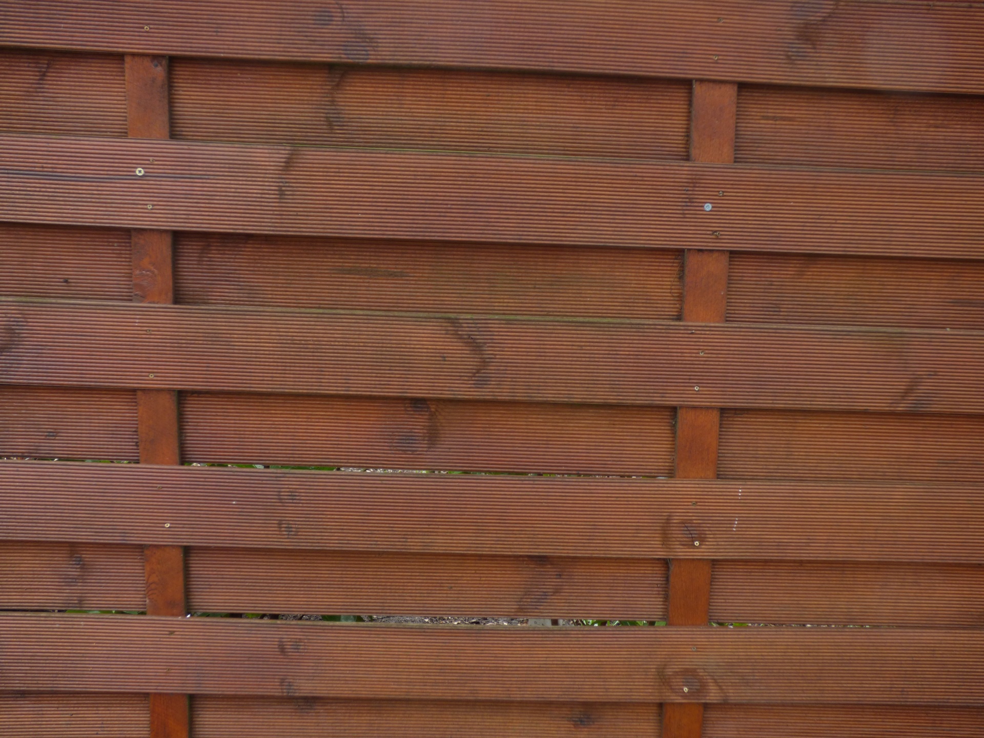 wood wood fence pale fence free photo