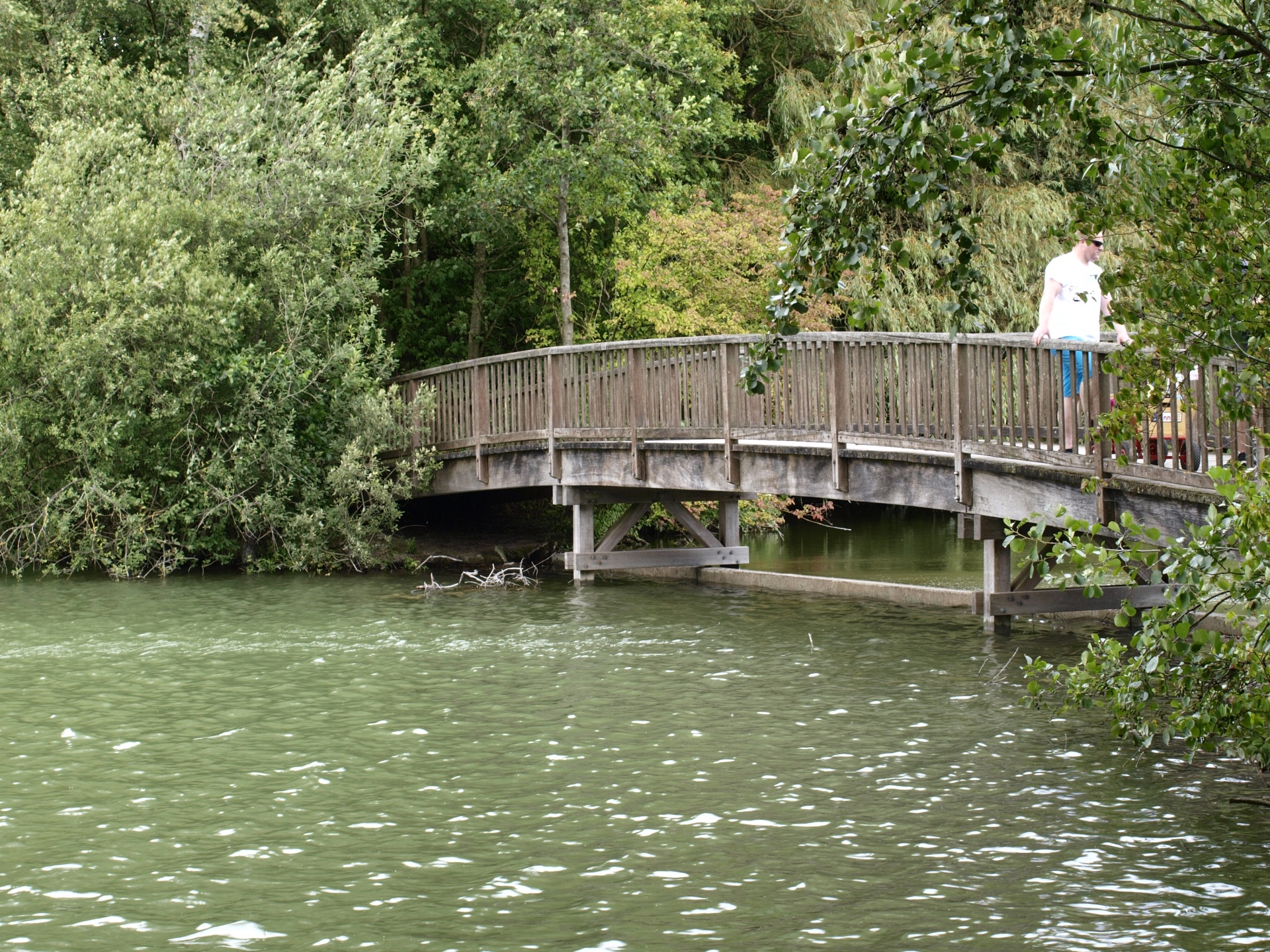 wood water bridge free photo