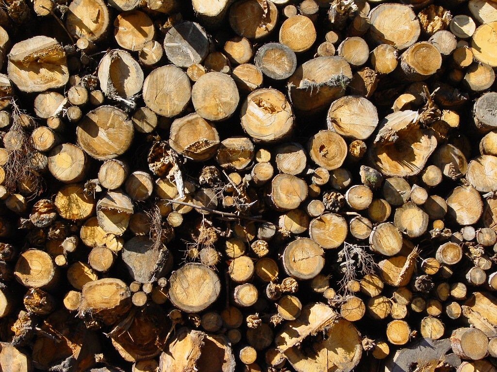 holzstapel,wood,trees,strains,tree trunks,firewood,timber,free pictures, free photos, free images, royalty free, free illustrations, public domain