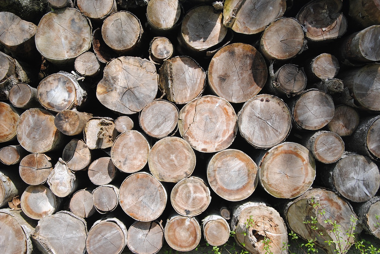 holzstapel wooden wall wood free photo