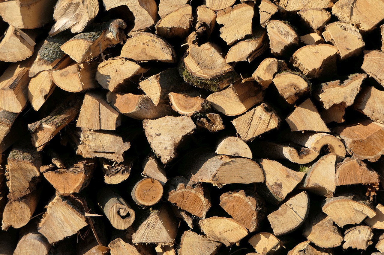 holzstapel  wood  firewood free photo