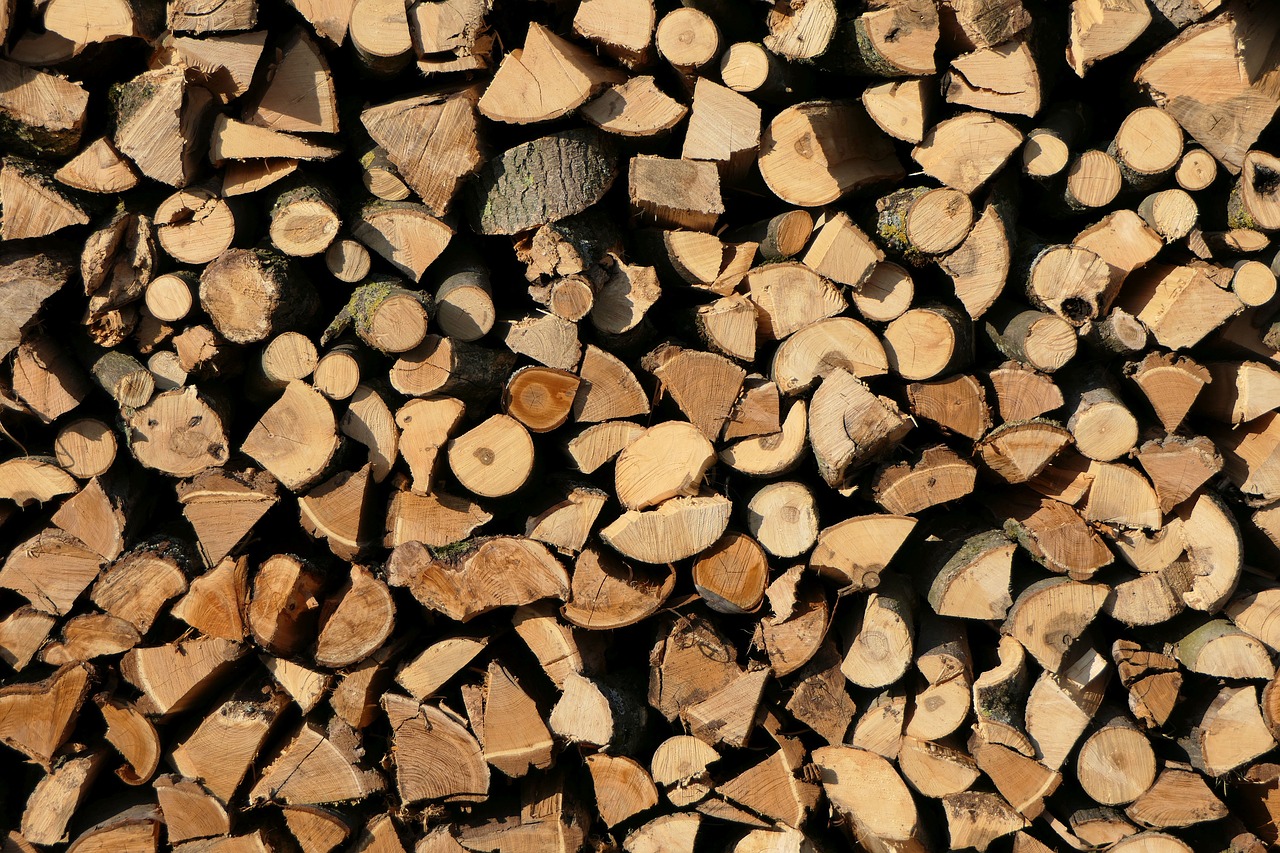 holzstapel  wood  growing stock free photo