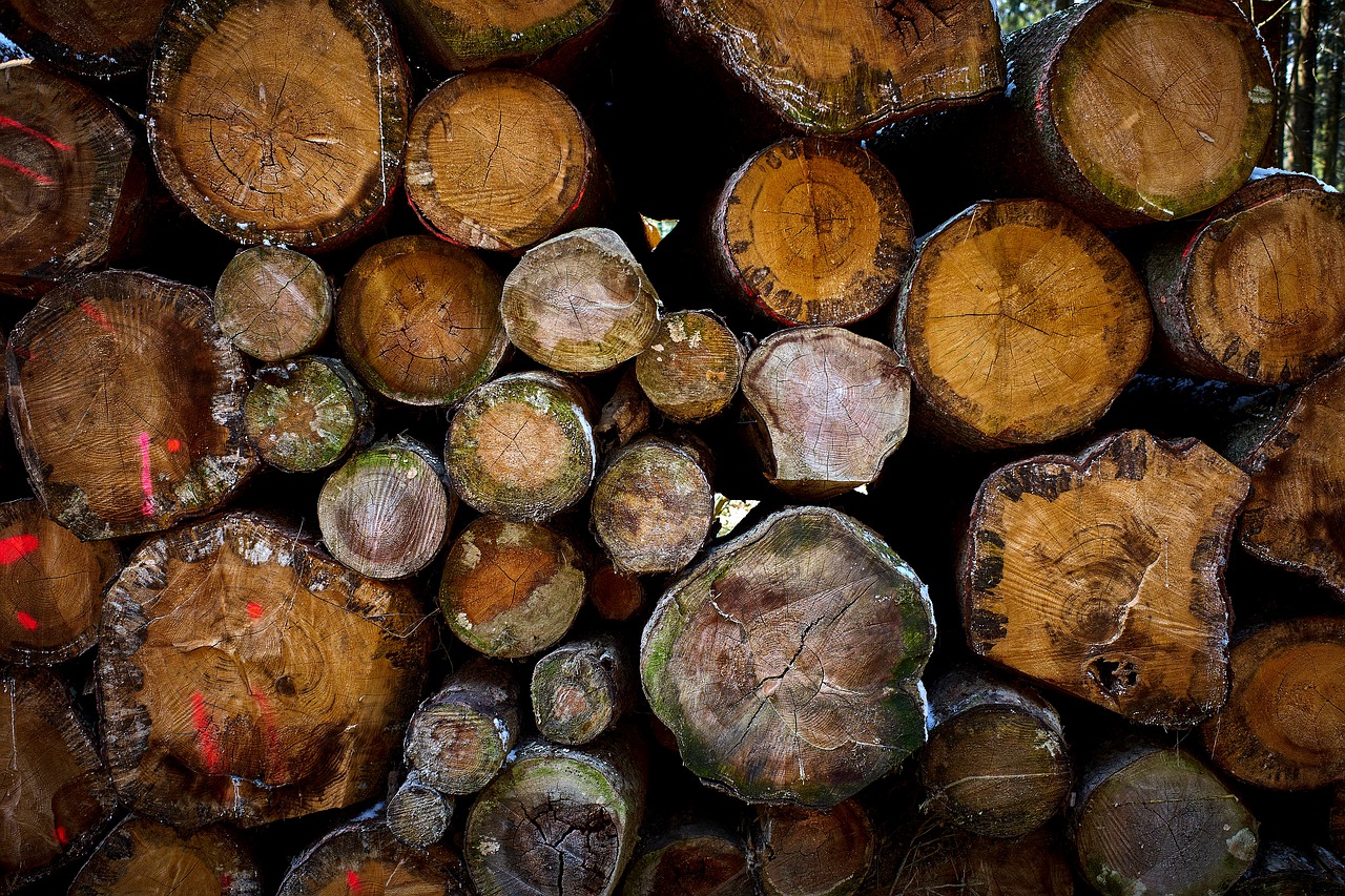 Holzstapel, wood pile, wood, firewood, nature - free image from needpix.com