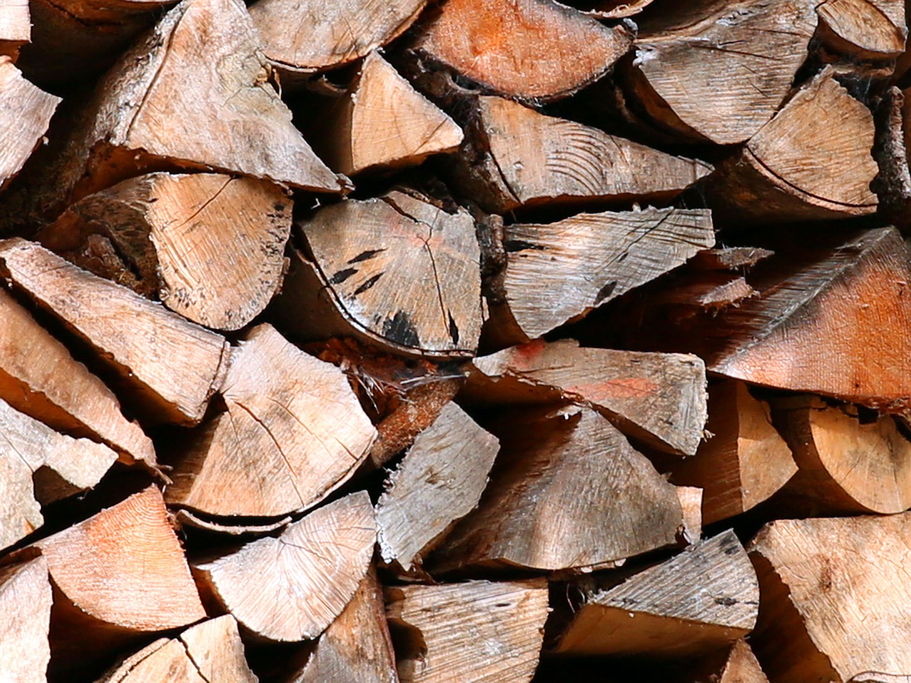holzstapel tree wood firewood free photo