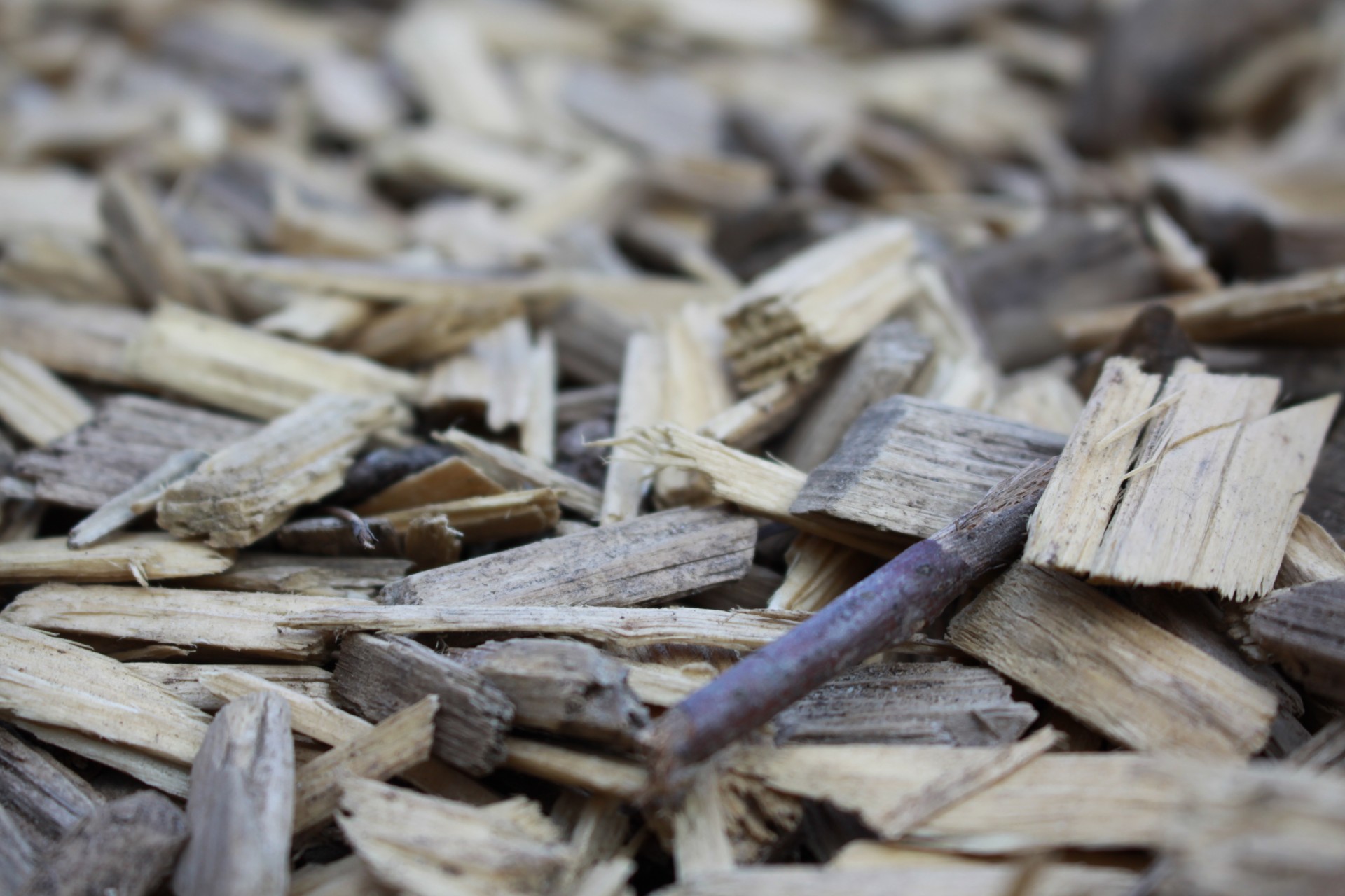 pieces wood chips pieces of wood free photo
