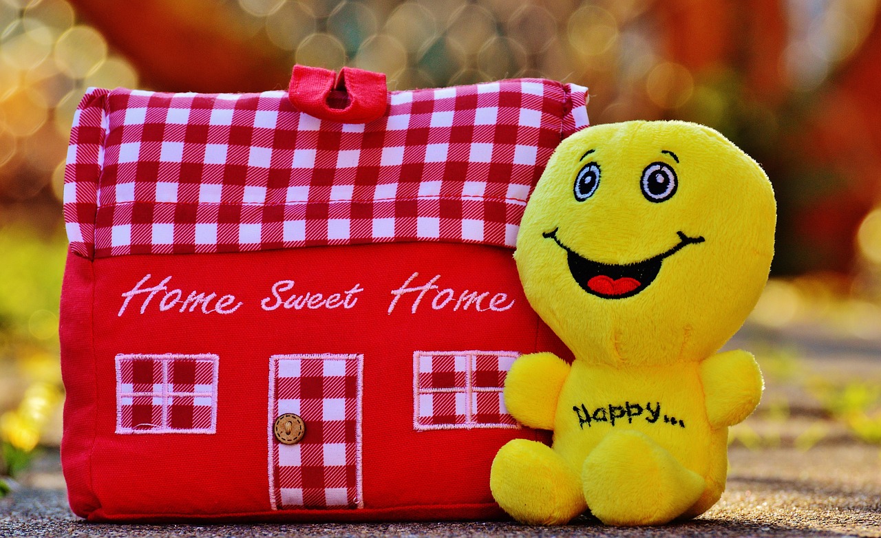 home at home smiley free photo