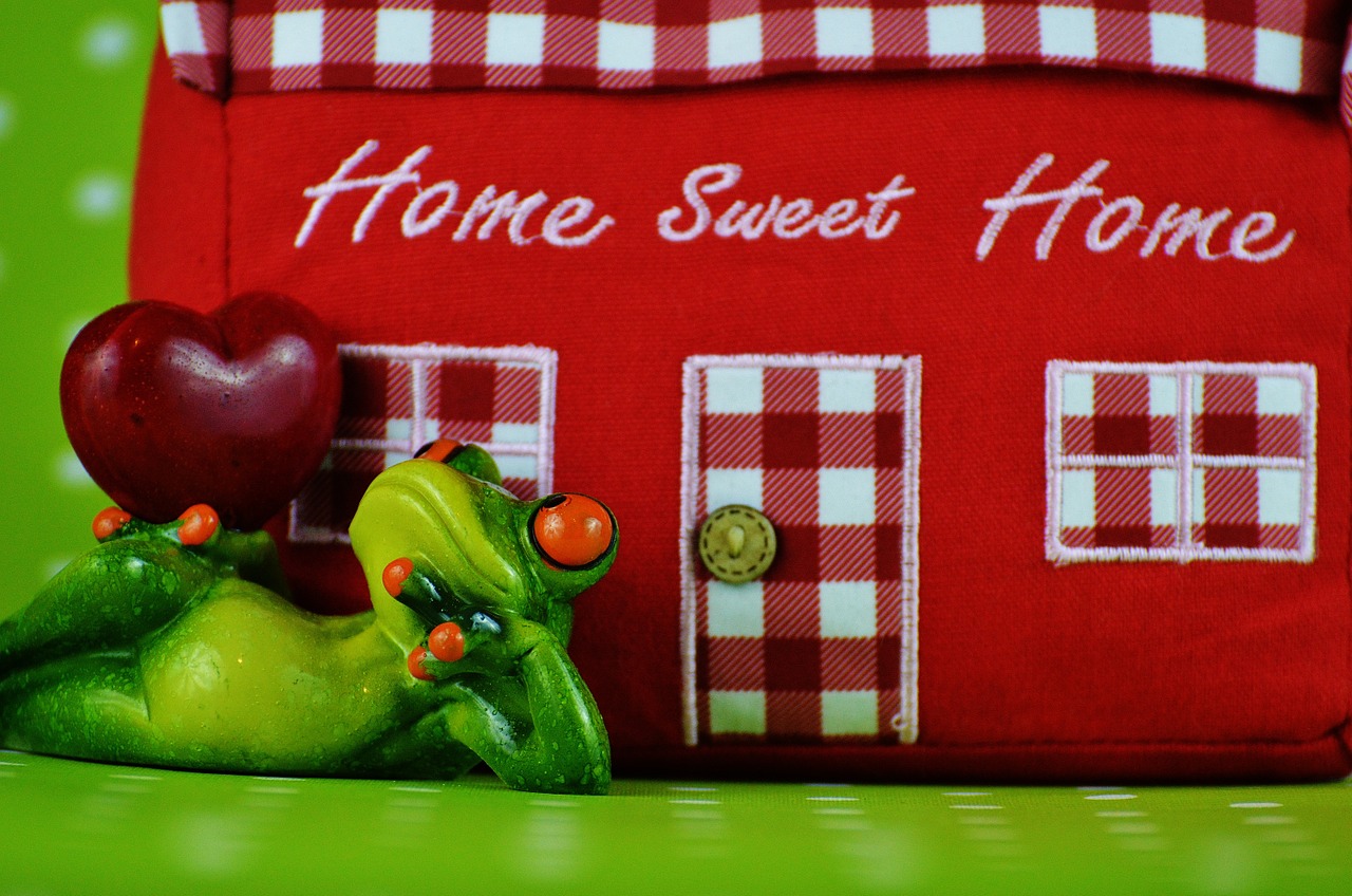 home frog heart free photo