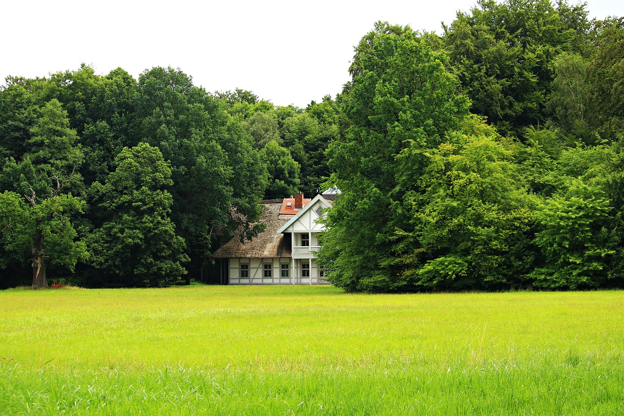 home swiss house truss free photo