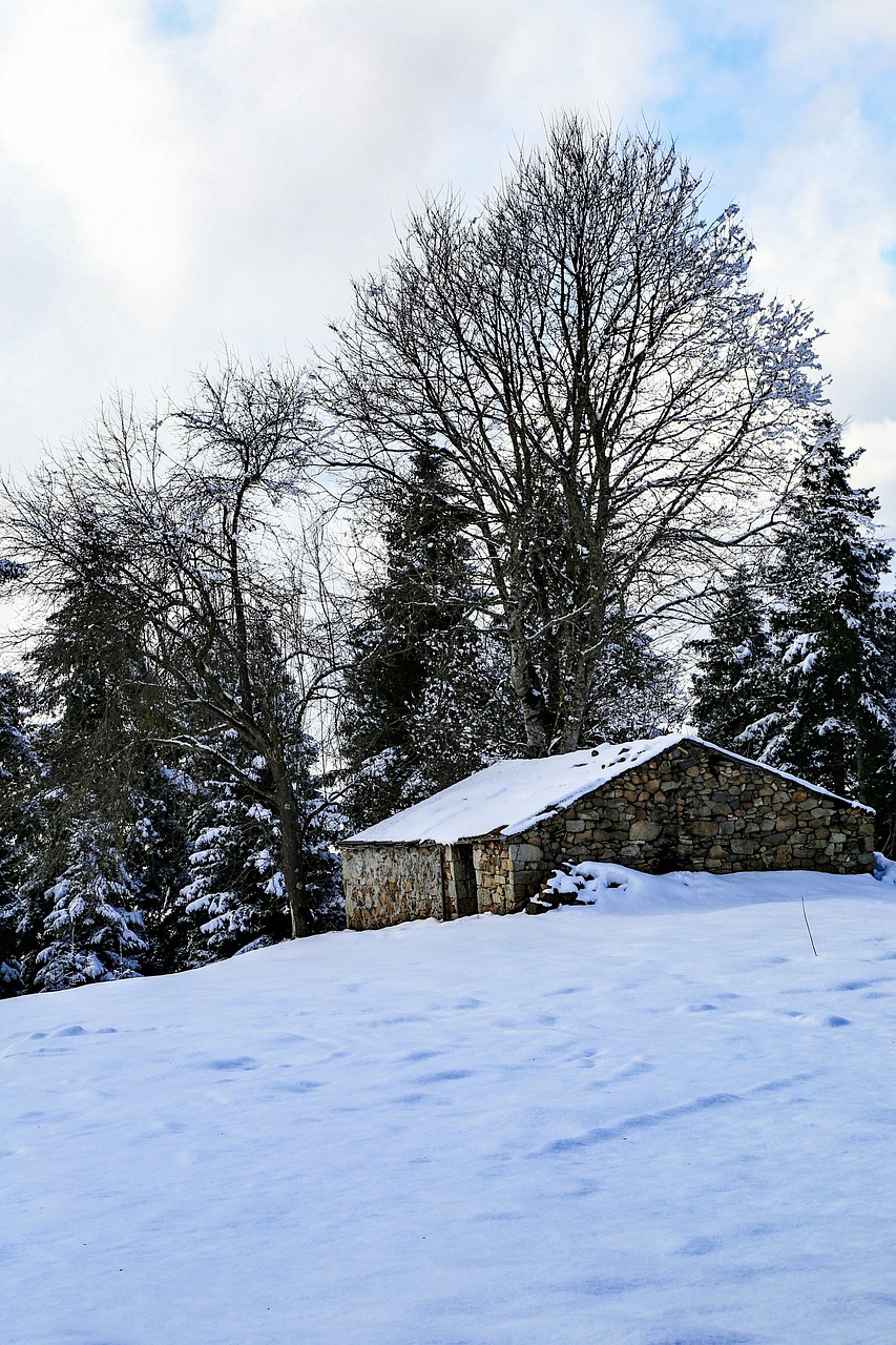 home snow landscape free photo