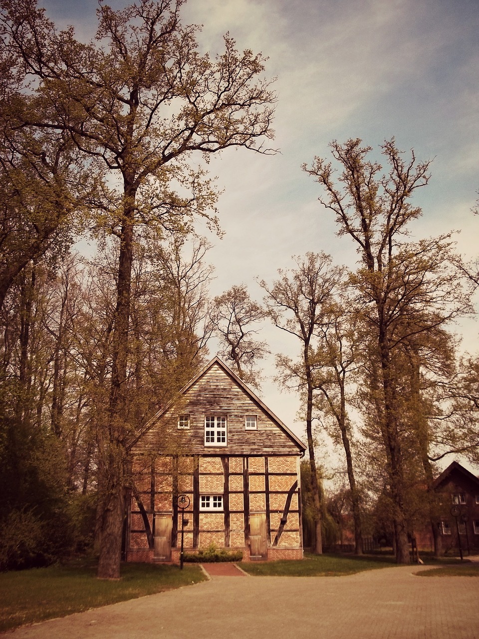 home hut tree free photo