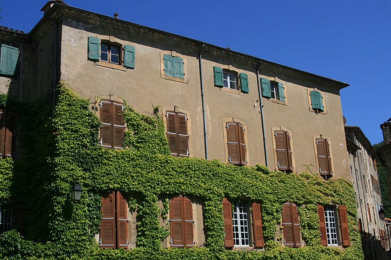 home ivy south of france free photo