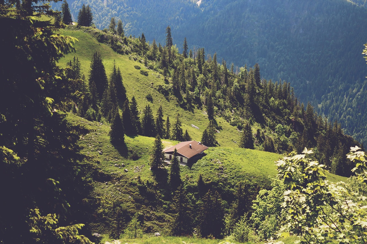 home field mountains free photo