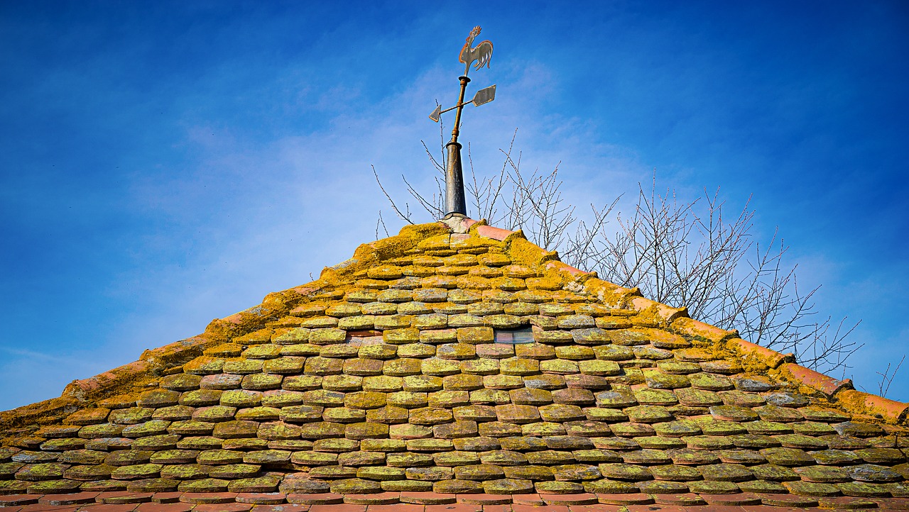 home weatherman roof free photo