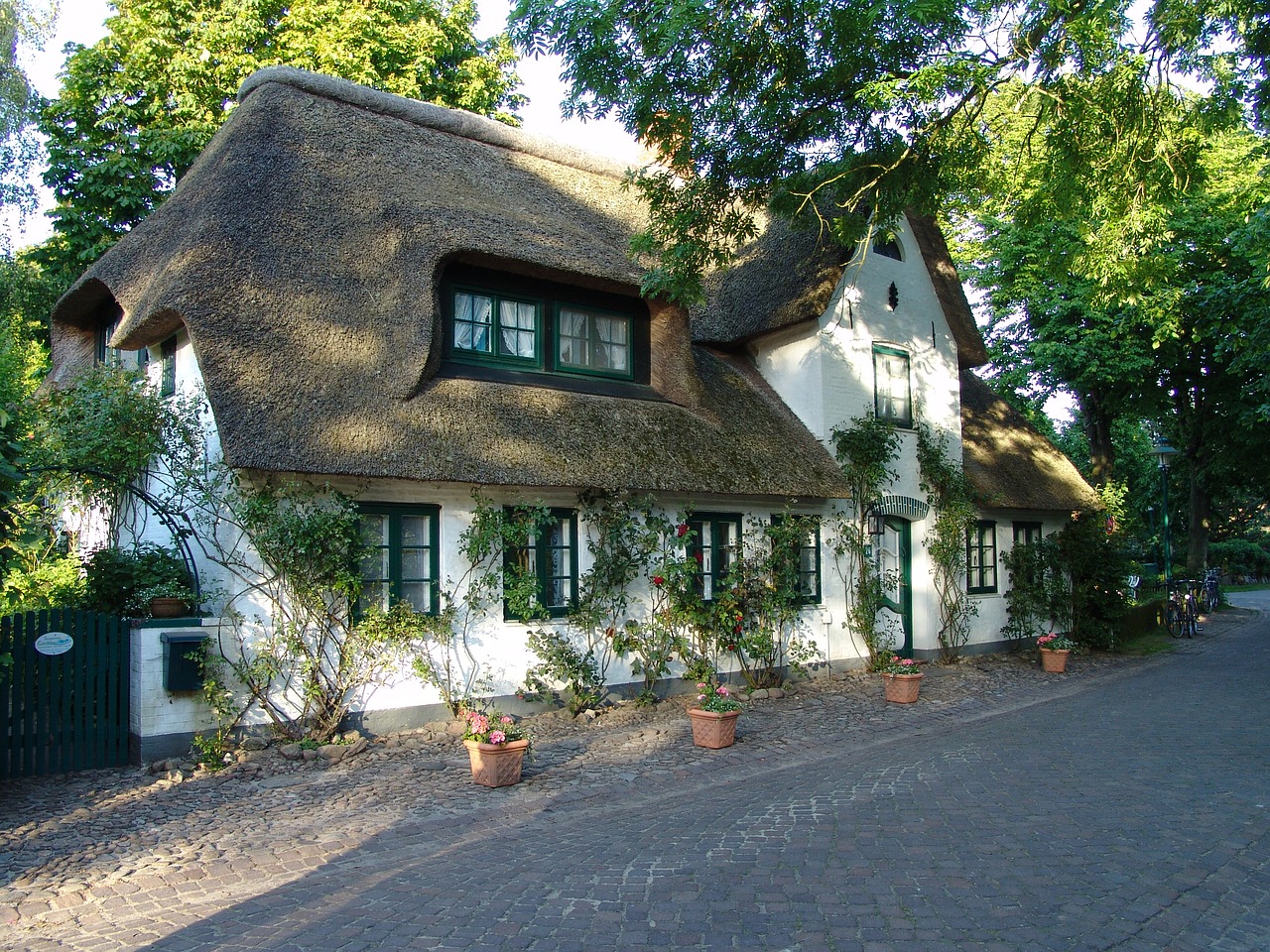 home reed thatched roof free photo