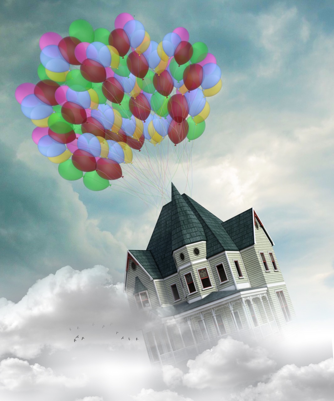 home fly balloons free photo