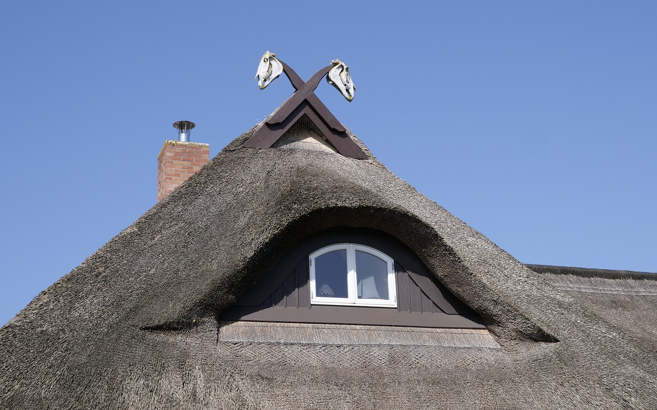 house  housetop  thatched roof free photo