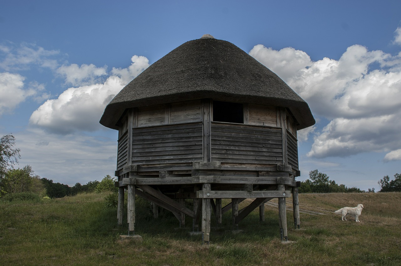 home thatched roof reed free photo