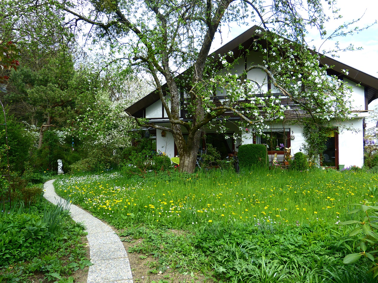 home garden meadow free photo