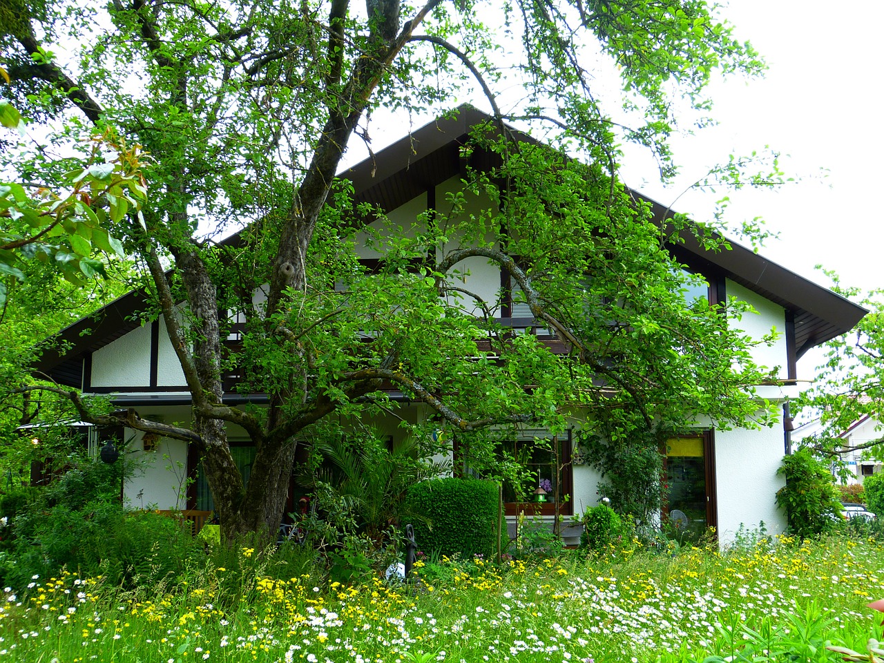 home garden meadow free photo