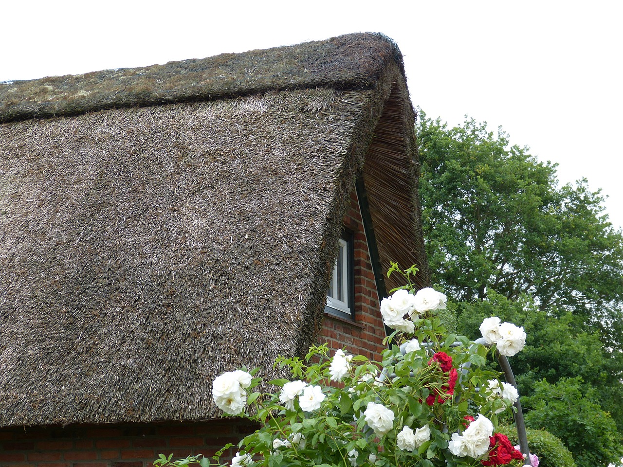 home roof reed free photo