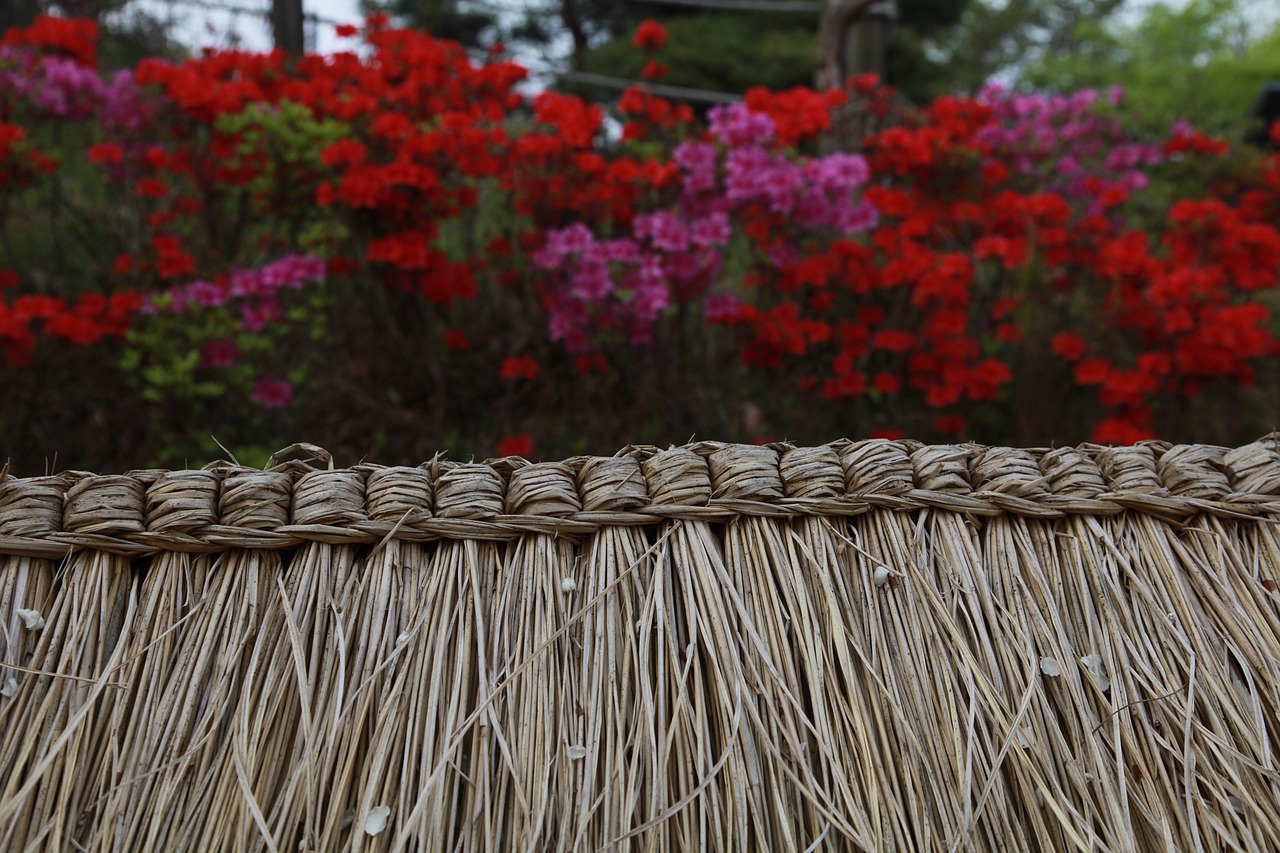 home fence balcony free photo