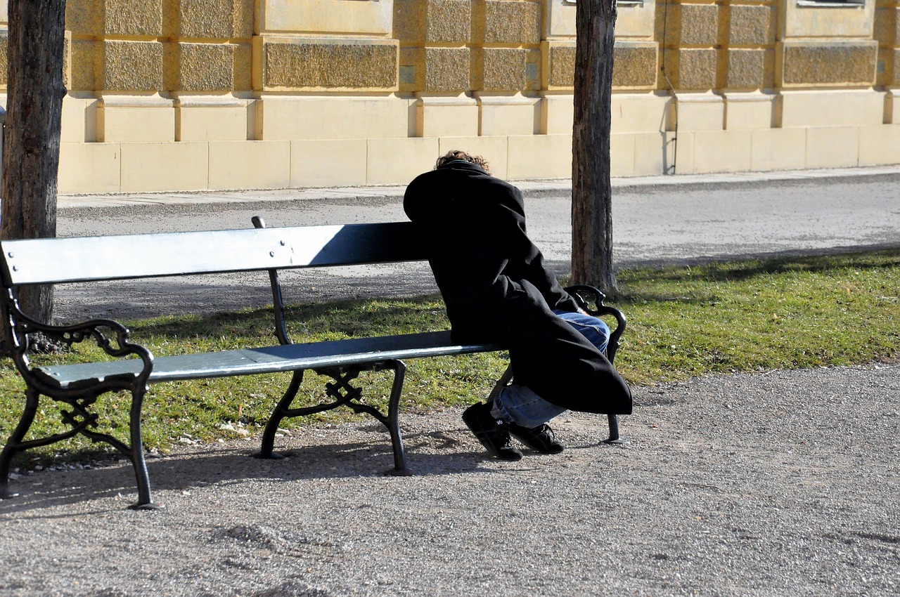 homeless park bench person free photo