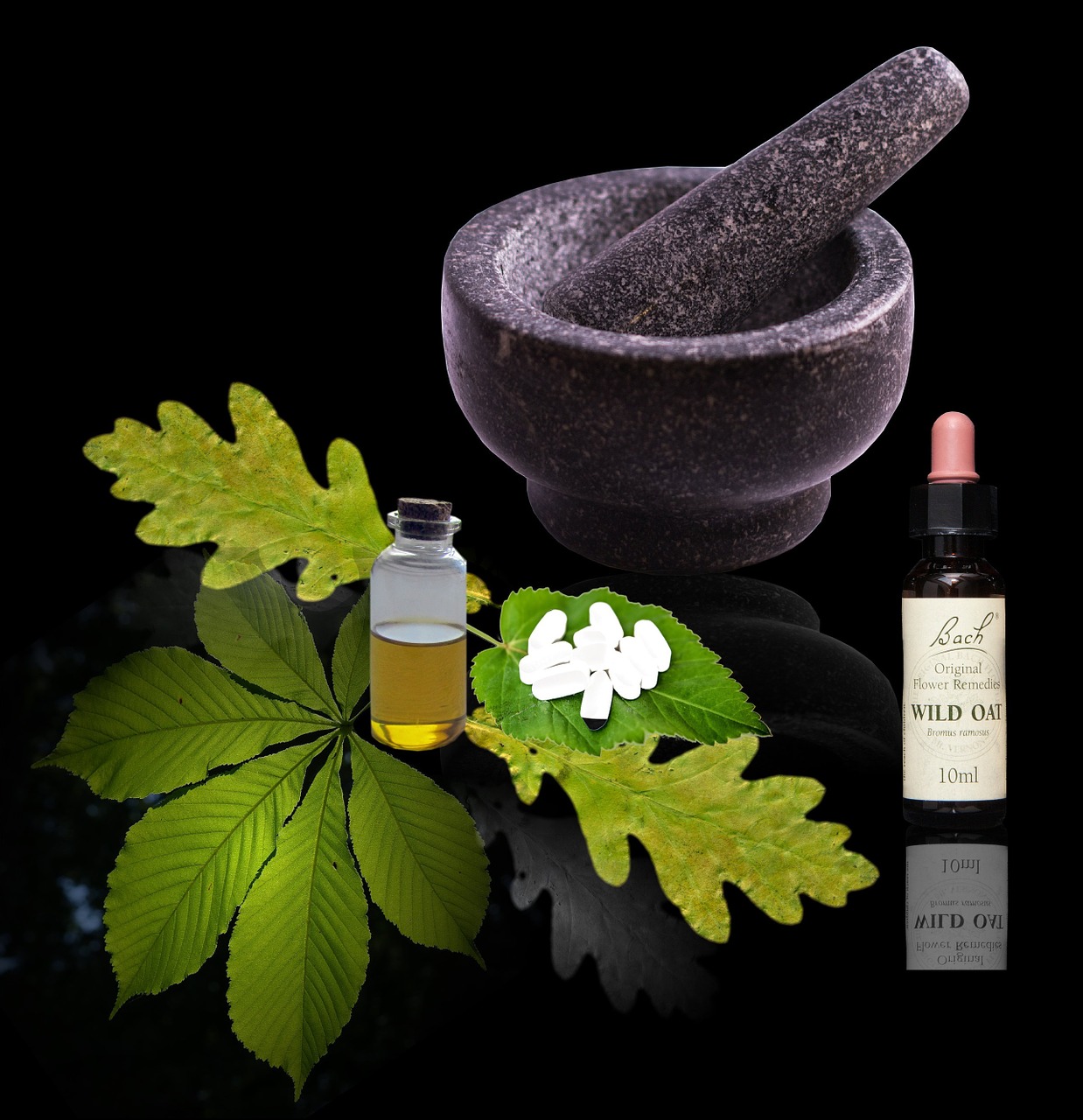homeopathy natural medicine medicine free photo