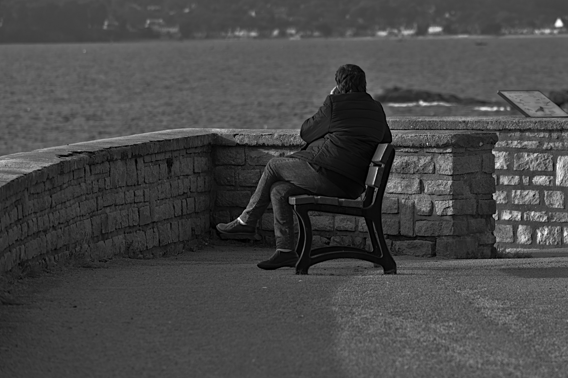 man sitting bench free photo