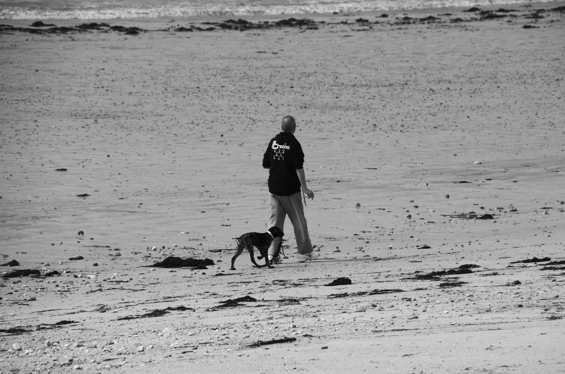 man dog beach free photo