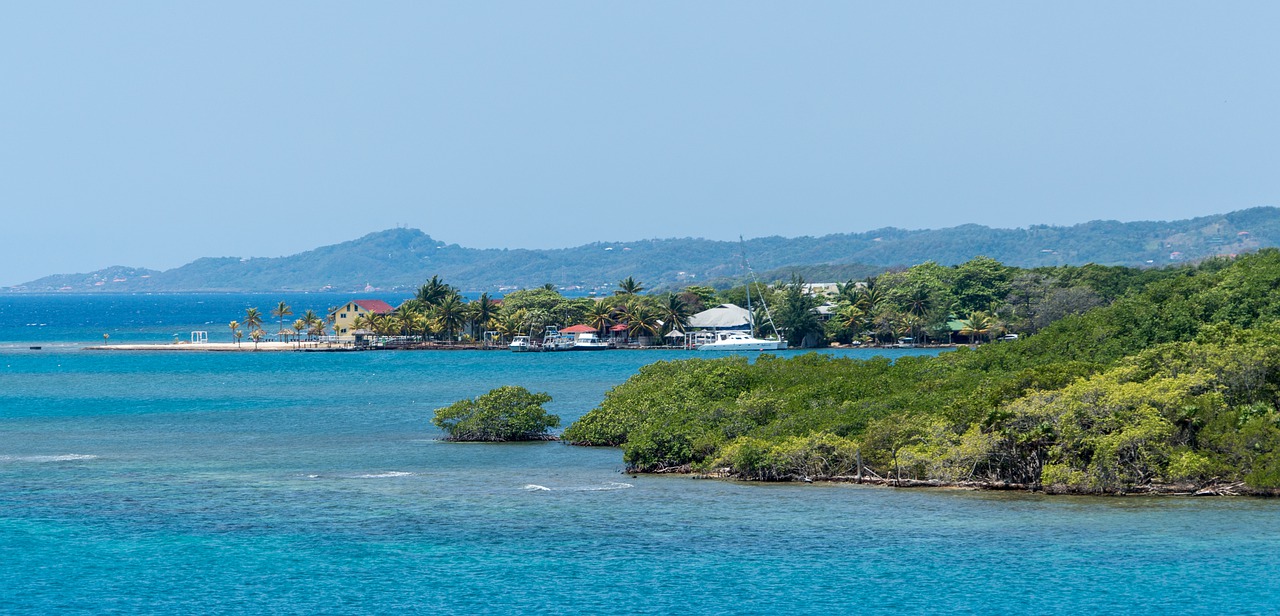 honduras  roatan  nature free photo