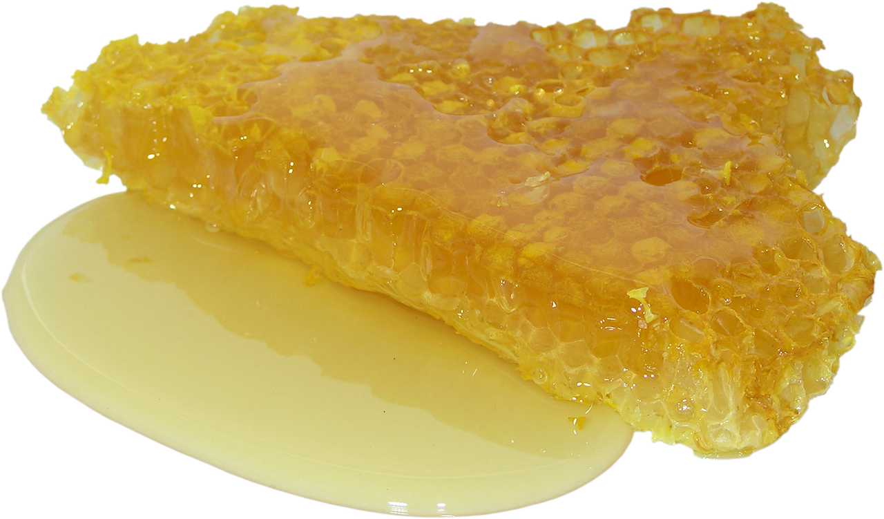 honey honeycomb sweet free photo