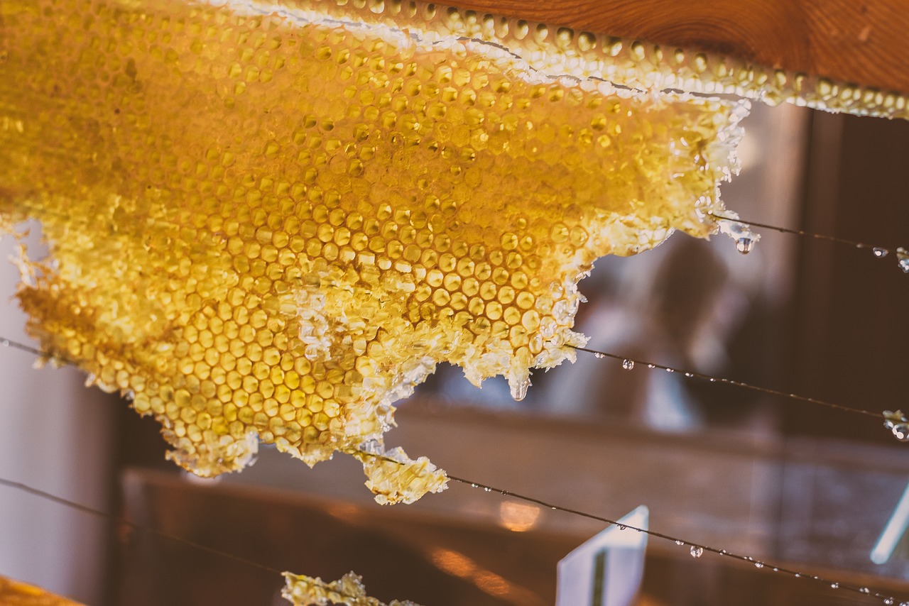 honey bee syrup free photo