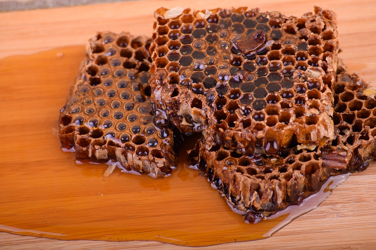 honey  honeycomb  food free photo