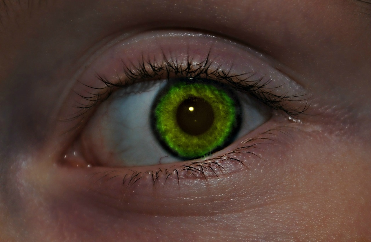 honey green eye free photo