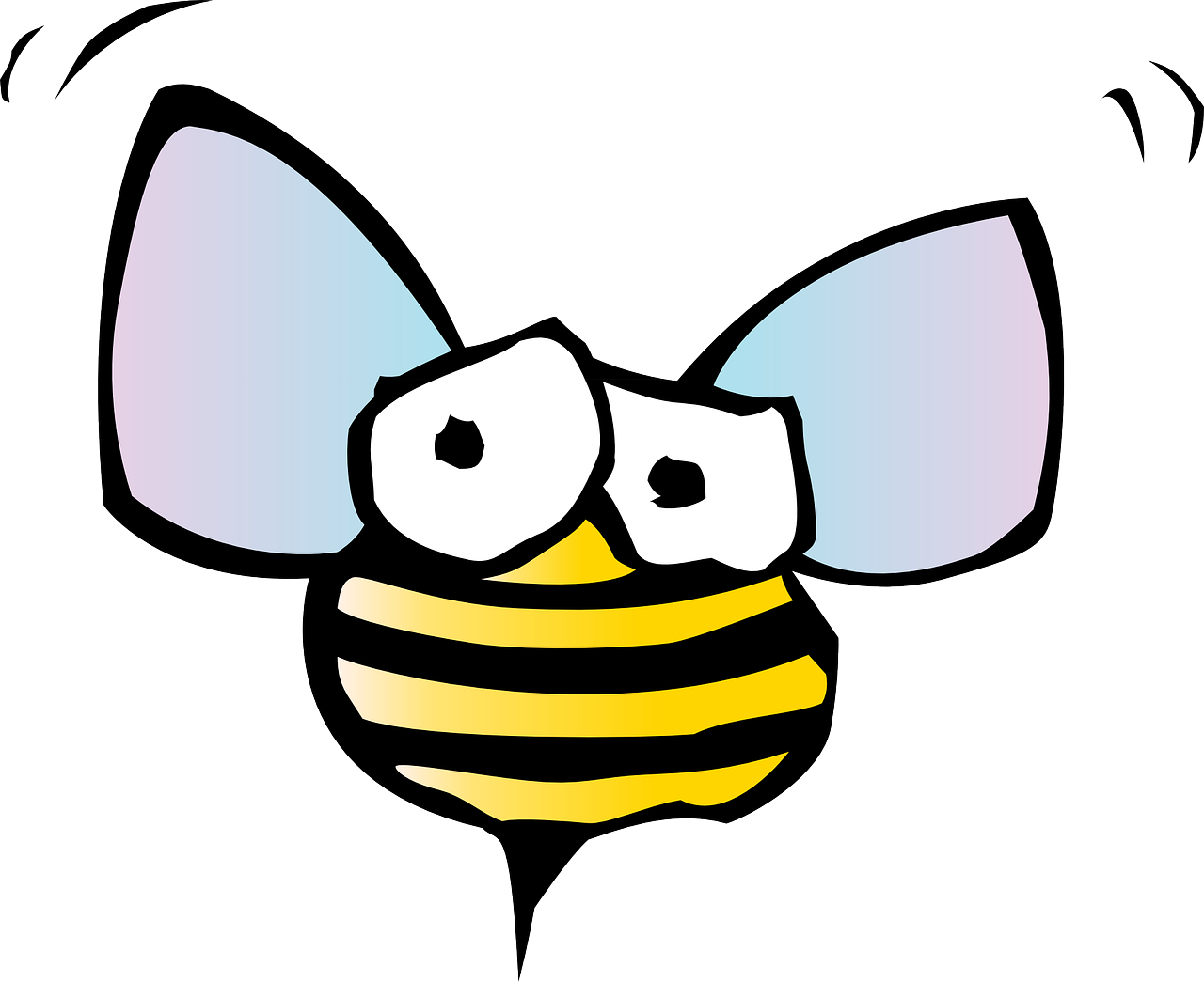 honey bee bee animal free photo